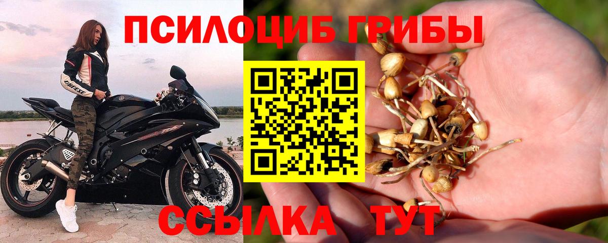 Галлюциногенные грибы прущие грибы Северобайкальск