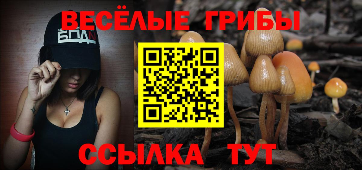 Псилоцибиновые грибы Magic Shrooms  Псилоцибиновые грибы мухоморы  Вход с VPN  Северобайкальск 